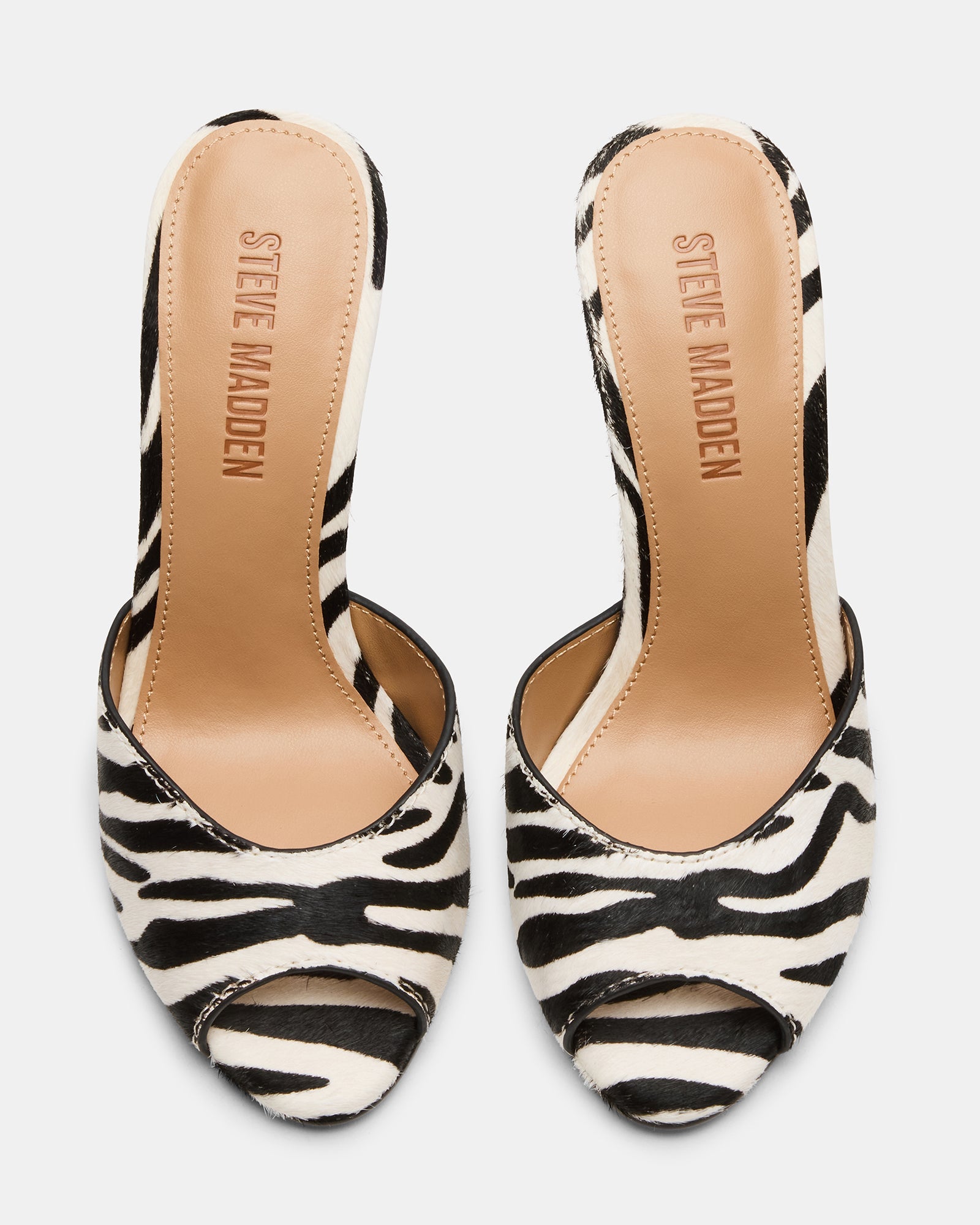 PRIYA ZEBRA
